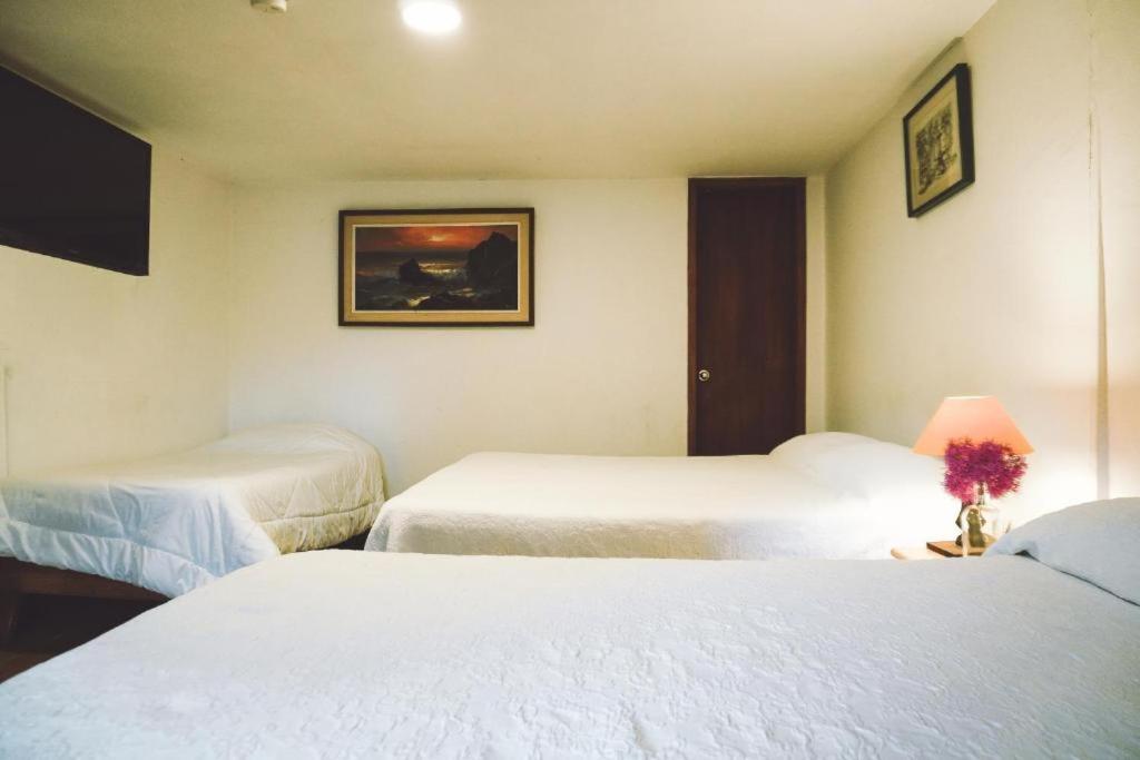Hostel Casa Del Arupo Quito Exteriér fotografie
